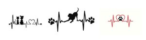 EKG – Elektrokardiografija
